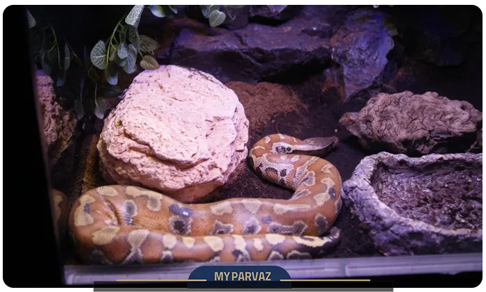 Antalya Aquarium Reptile Section